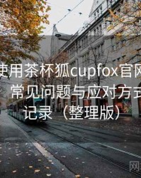 第一次使用茶杯狐cupfox官网时的真实感受：常见问题与应对方式的整理记录（整理版）