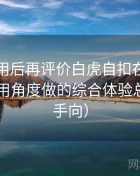 多次使用后再评价白虎自扣在线：从日常使用角度做的综合体验总结（新手向）