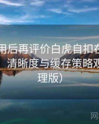 多次使用后再评价白虎自扣在线：加载速度、清晰度与缓存策略观察（整理版）
