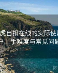 围绕白虎自扣在线的实际使用感想：新用户上手难度与常见问题整理