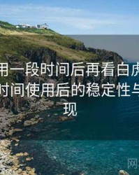 连续使用一段时间后再看白虎网站一区：长时间使用后的稳定性与加载表现