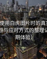 第一次使用白虎图片时的真实感受：常见问题与应对方式的整理记录（长期体验）