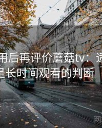 多次使用后再评价蘑菇tv：适合碎片时间还是长时间观看的判断（整理版）
