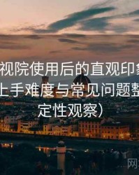 柚子影视院使用后的直观印象整理：新用户上手难度与常见问题整理（稳定性观察）