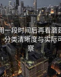 连续使用一段时间后再看蘑菇tv：搜索效率、分类清晰度与实际可用性观察