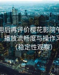 多次使用后再评价樱花影院午夜：界面设计、播放流畅度与操作习惯分析（稳定性观察）