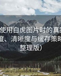 第一次使用白虎图片时的真实感受：加载速度、清晰度与缓存策略观察（整理版）