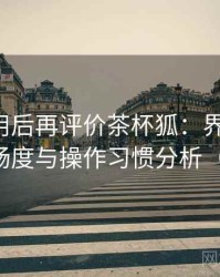 多次使用后再评价茶杯狐：界面设计、播放流畅度与操作习惯分析（新手向）