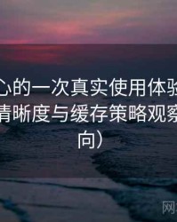 天美糖心的一次真实使用体验：加载速度、清晰度与缓存策略观察（新手向）