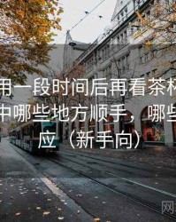 连续使用一段时间后再看茶杯狐：日常使用中哪些地方顺手，哪些需要适应（新手向）