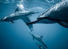 age动漫官网首页app使用体验复盘：高频使用后的习惯变化与效率提升（长期体验）