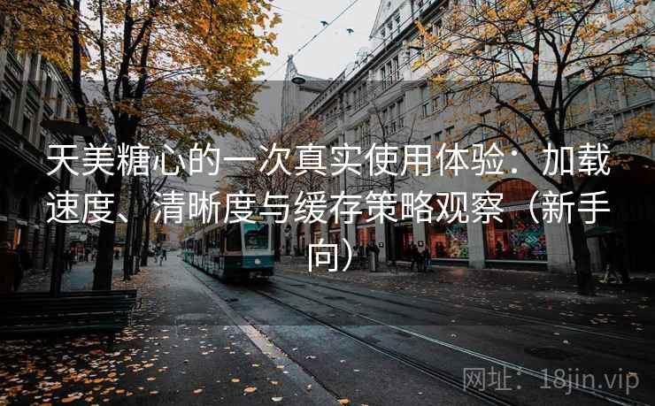 天美糖心的一次真实使用体验：加载速度、清晰度与缓存策略观察（新手向）