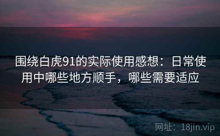 围绕白虎91的实际使用感想：日常使用中哪些地方顺手，哪些需要适应