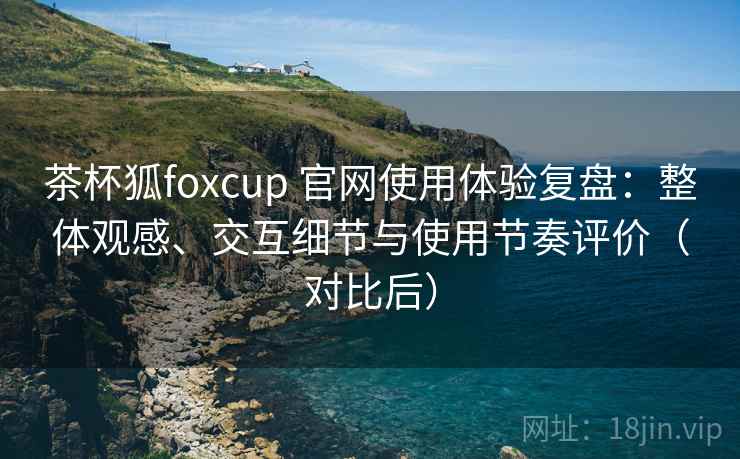 茶杯狐foxcup 官网使用体验复盘：整体观感、交互细节与使用节奏评价（对比后）