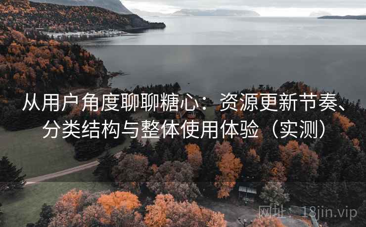 从用户角度聊聊糖心：资源更新节奏、分类结构与整体使用体验（实测）