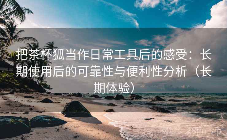 把茶杯狐当作日常工具后的感受：长期使用后的可靠性与便利性分析（长期体验）