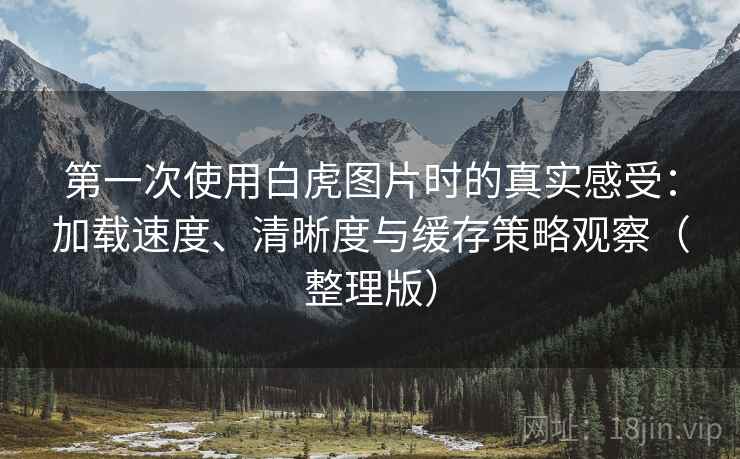 第一次使用白虎图片时的真实感受：加载速度、清晰度与缓存策略观察（整理版）