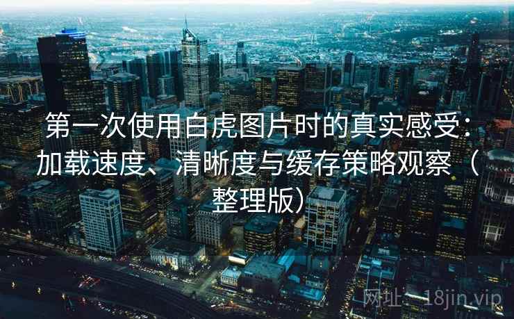 第一次使用白虎图片时的真实感受：加载速度、清晰度与缓存策略观察（整理版）
