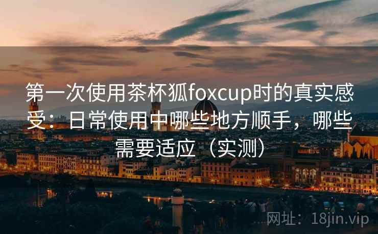 第一次使用茶杯狐foxcup时的真实感受：日常使用中哪些地方顺手，哪些需要适应（实测）