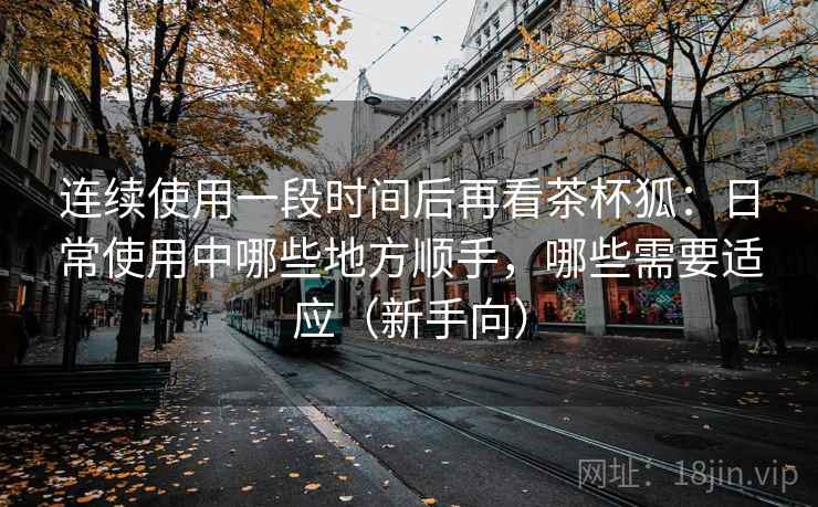 连续使用一段时间后再看茶杯狐：日常使用中哪些地方顺手，哪些需要适应（新手向）