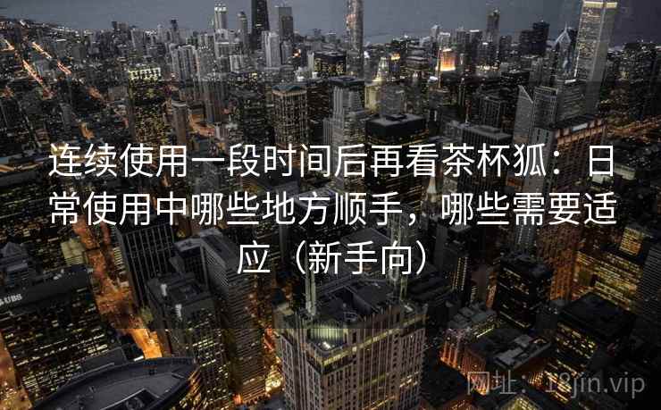 连续使用一段时间后再看茶杯狐：日常使用中哪些地方顺手，哪些需要适应（新手向）